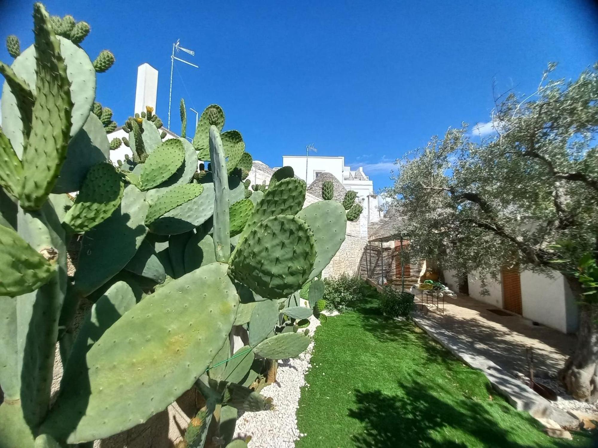 Trullo Vacanza Alberobello Szoba fotó